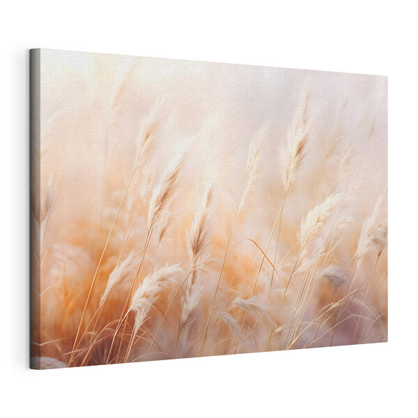 Canvas Schilderijen Zachte grassen dansen in de wind (Artikelnummer: s43157) Canvas Schilderijen Canvas Schilderijen Zachte grassen dansen in de wind (Artikelnummer: s43157)