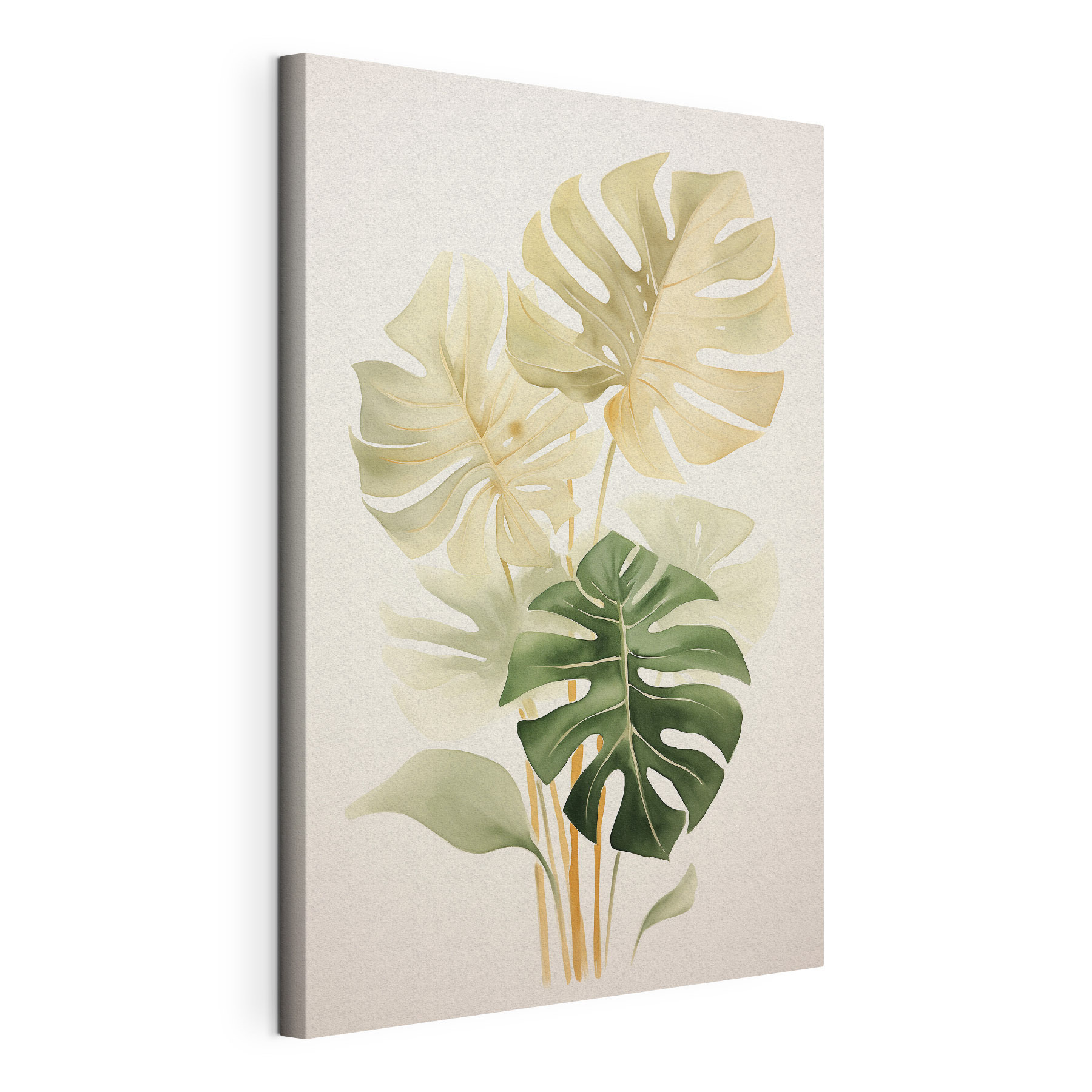 Group of leaves on a white background Group of leaves on a white background
