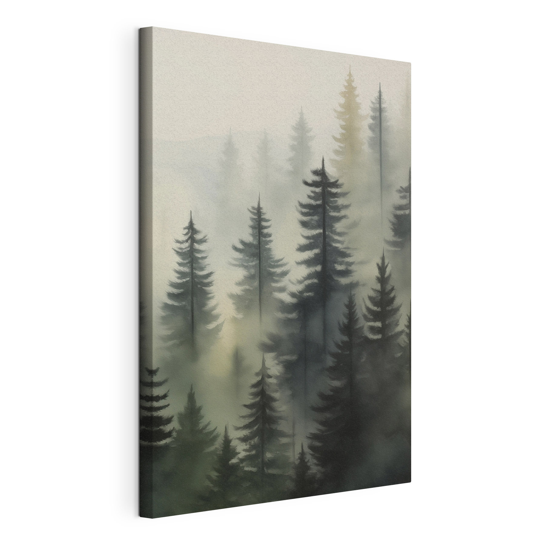 Foggy forest with trees