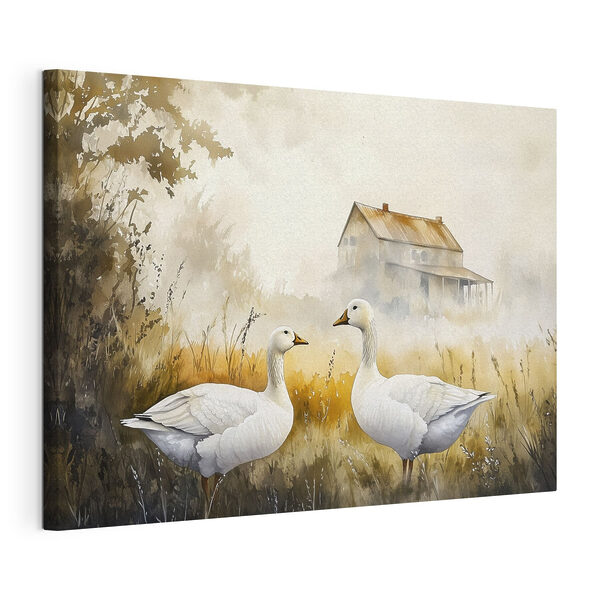 Canvas Schilderijen Canvas Schilderijen Aquarel van twee ganzen in een veld (Artikelnummer: s44024)