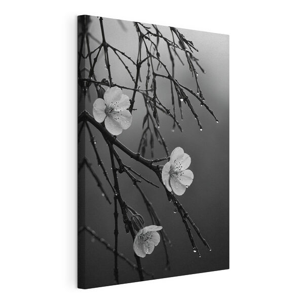 Canvas Schilderijen Delicate bloemen onder zachte regen (Artikelnummer: s44098) Canvas Schilderijen Canvas Schilderijen Delicate bloemen onder zachte regen (Artikelnummer: s44098)