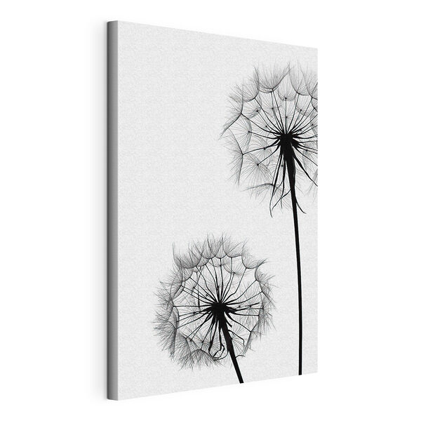Fijne paardenbloemen op een witte achtergrond Canvas Schilderijen Fijne paardenbloemen op een witte achtergrond