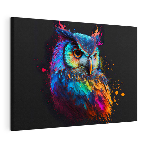 Een kleurrijke uil met verfspetters Canvas Schilderijen Een kleurrijke uil met verfspetters
