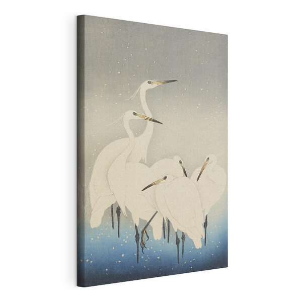A group of white birds with long beaks A group of white birds with long beaks