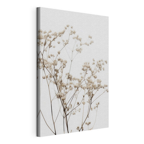Canvas Schilderijen Fijne gedroogde bloemen tegen een witte achtergrond