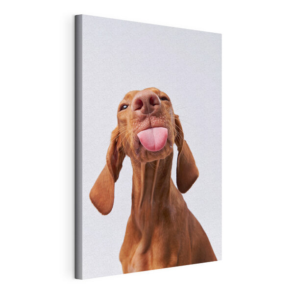Een hond die zijn tong uitsteekt Canvas Schilderijen Een hond die zijn tong uitsteekt