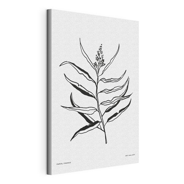 Een zwart-wit tekening van een plant Canvas Schilderijen Een zwart-wit tekening van een plant