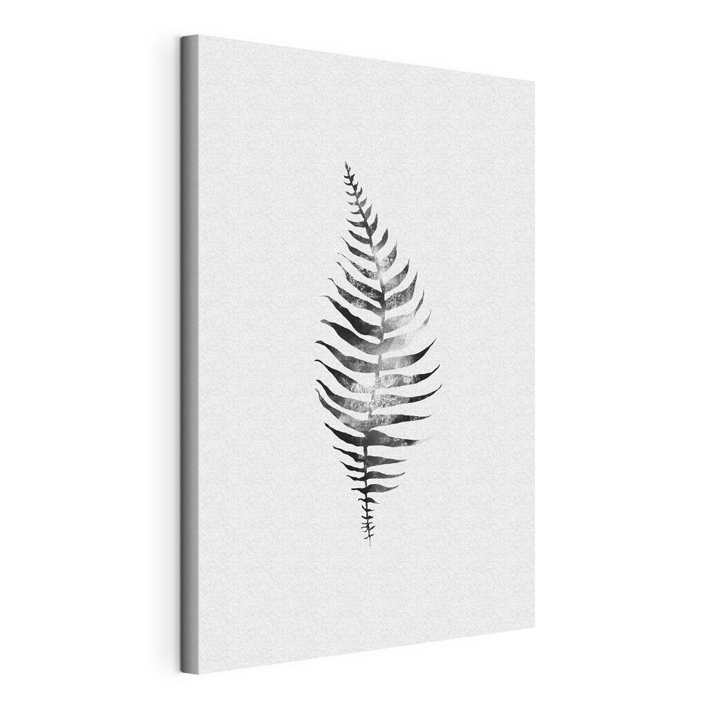 A black and white image of a fern leaf