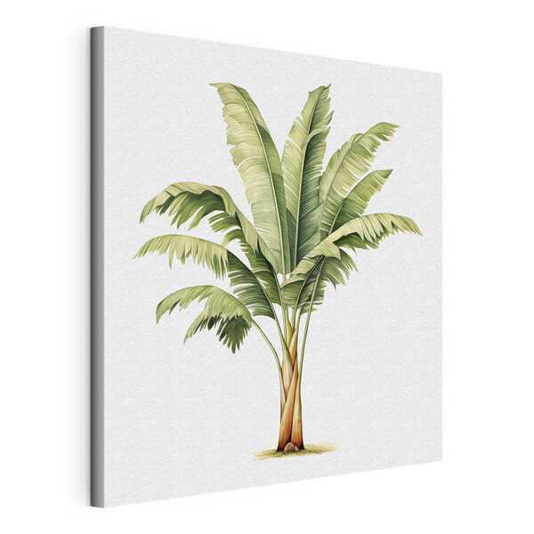 Palmboom met grote bladeren Canvas Schilderijen Palmboom met grote bladeren
