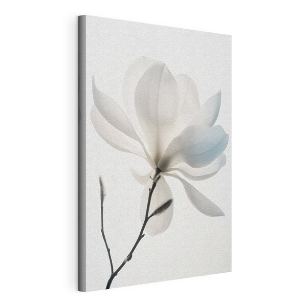 Canvas Schilderijen Witte bloem met bladeren
