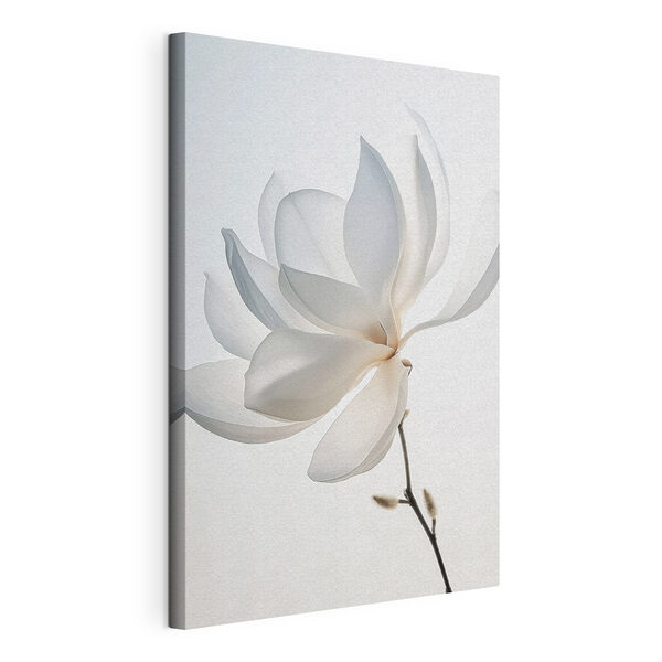 Witte bloem met bloemblaadjes Canvas Schilderijen Witte bloem met bloemblaadjes