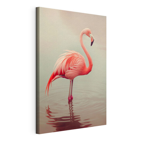 Flamingo staand in water Canvas Schilderijen Flamingo staand in water