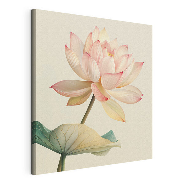 De zachte schoonheid van een bloeiende lotus Canvas Schilderijen De zachte schoonheid van een bloeiende lotus