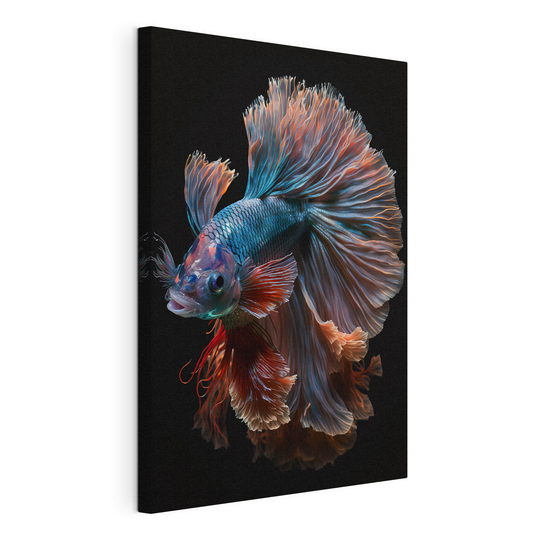 Fish with a large tail