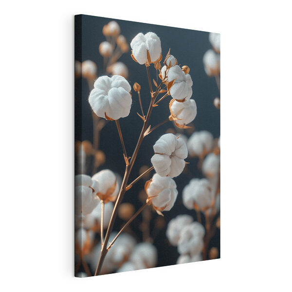 Delicate katoenen bloemen Canvas Schilderijen Delicate katoenen bloemen