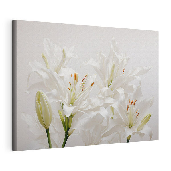 Canvas Schilderijen Groep witte bloemen