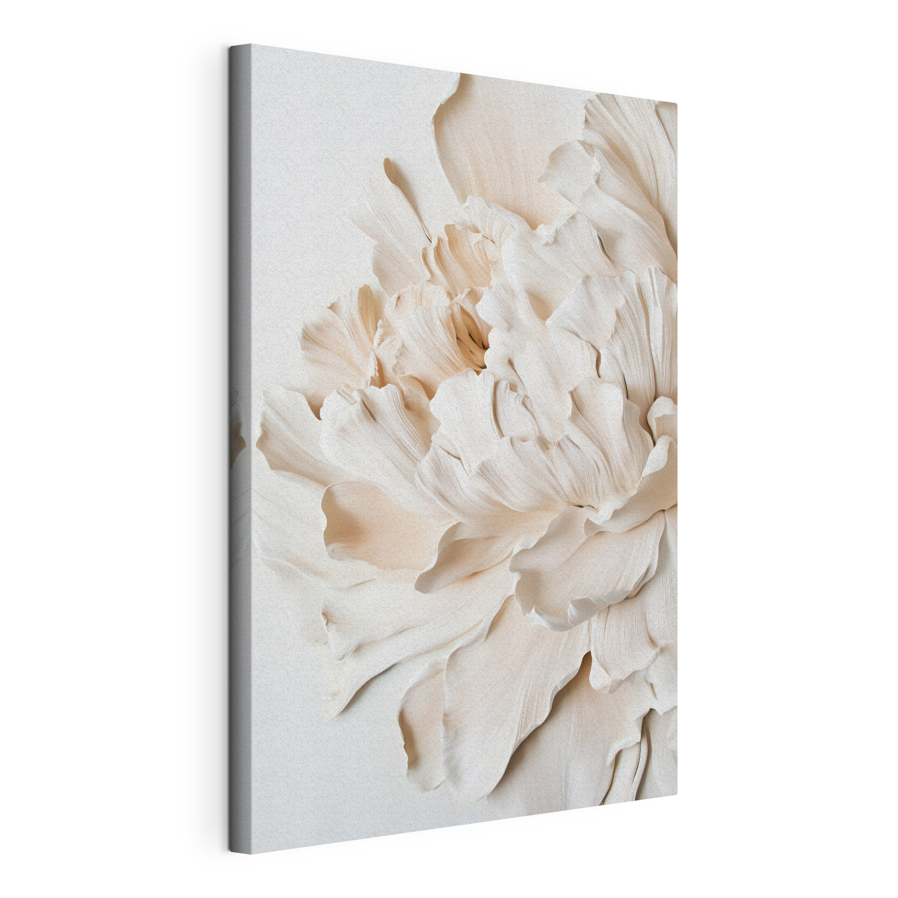 Delicate layers of beautiful petals