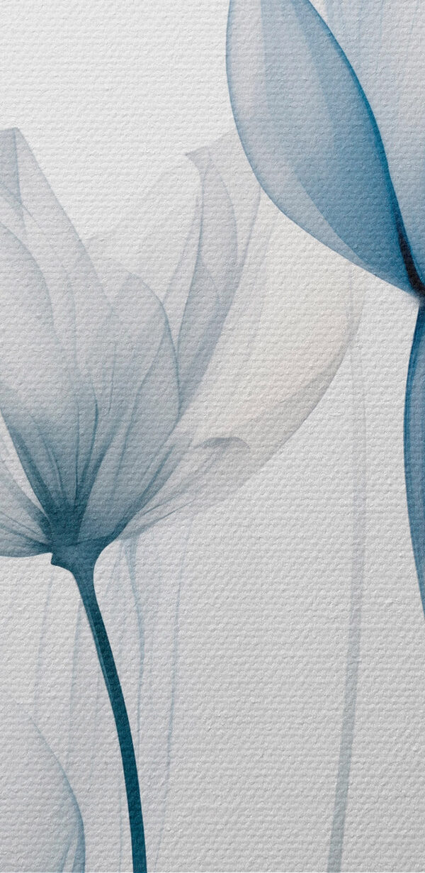 Group of flowers with transparent petals