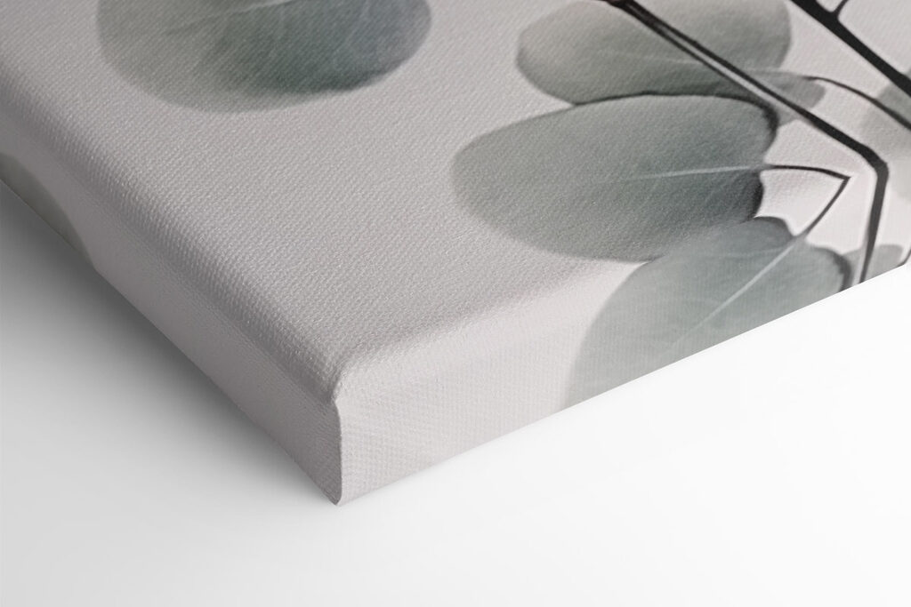 Delicate leaves on a minimal backdrop