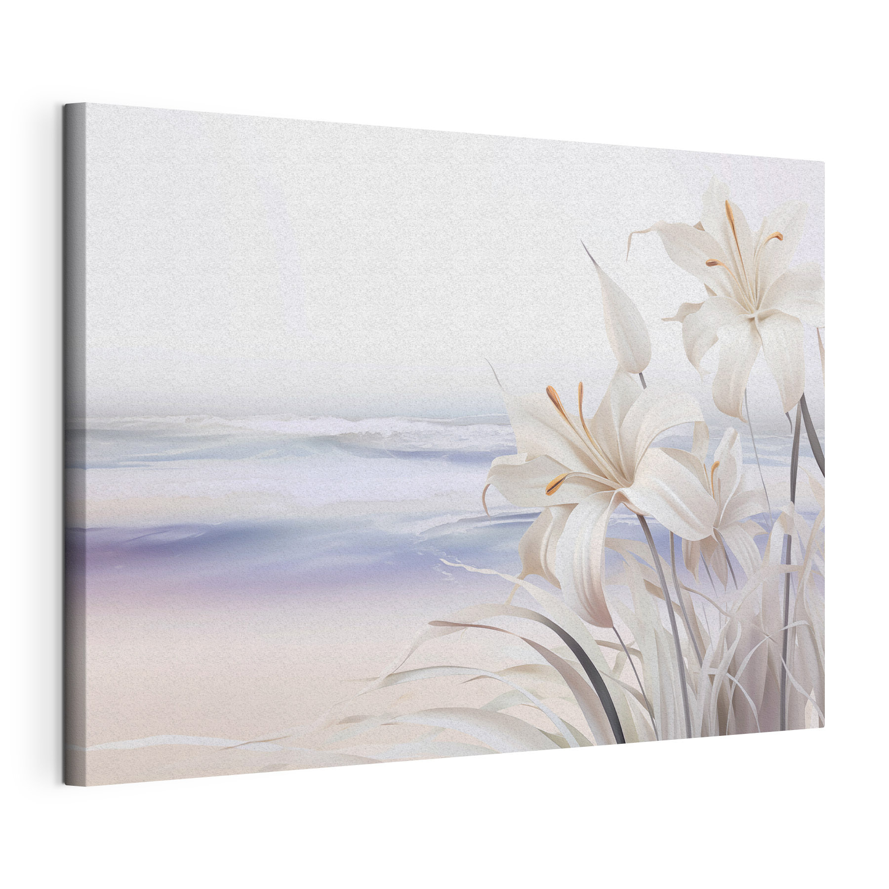 White flowers on a beach White flowers on a beach