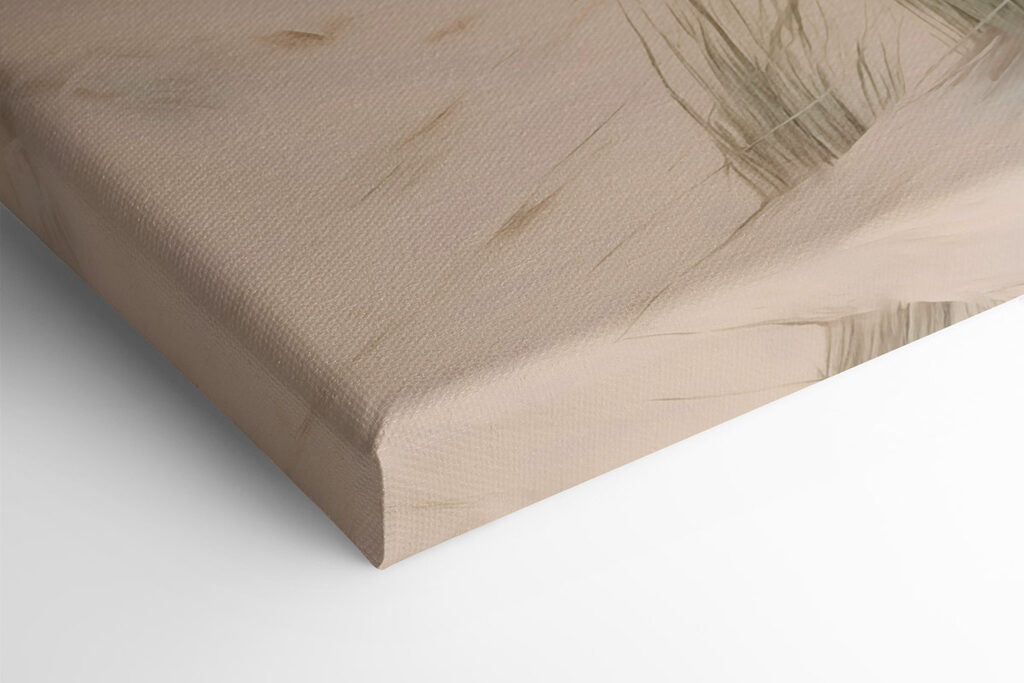 Beach with grass and sand