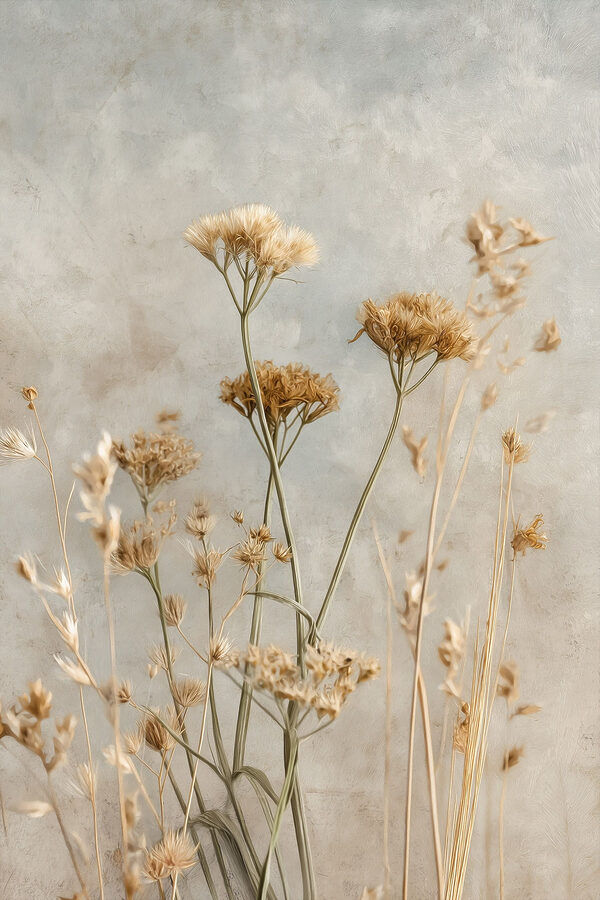 Dried blooms against a soft backdrop