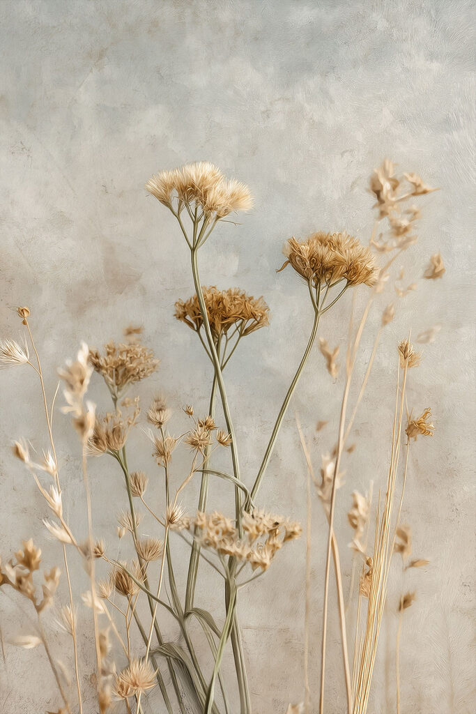 Dried blooms against a soft backdrop