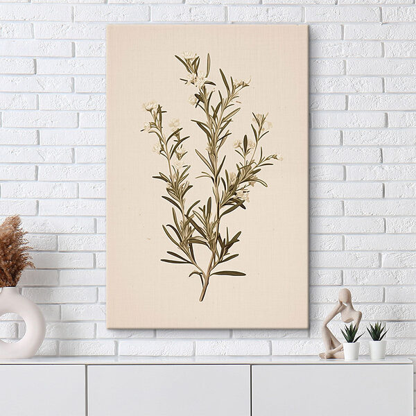 Plant with white flowers Plant with white flowers