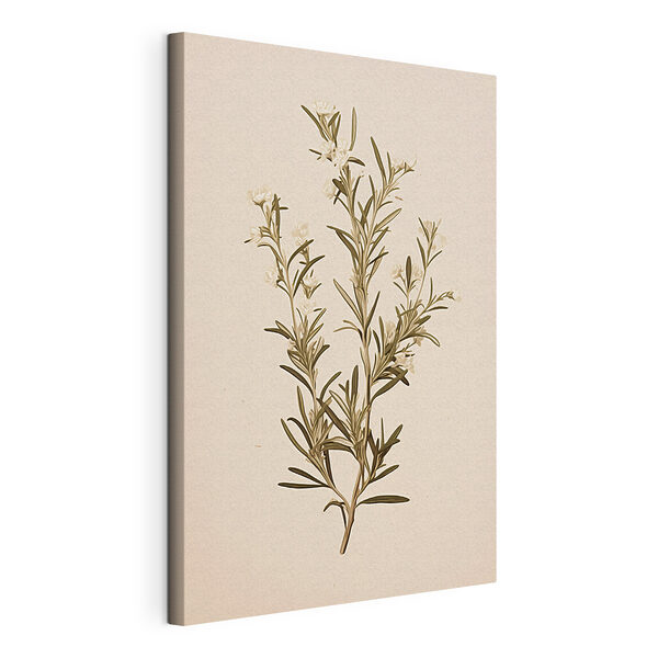 Canvas Schilderijen Canvas Schilderijen Plant met witte bloemen (Artikelnummer: s45098)
