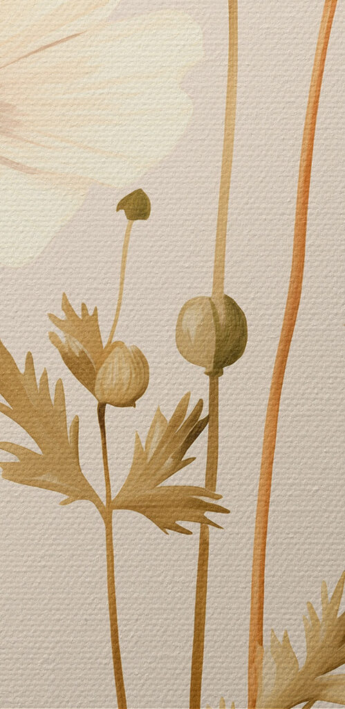 Delicate blooms in soft colors Delicate blooms in soft colors