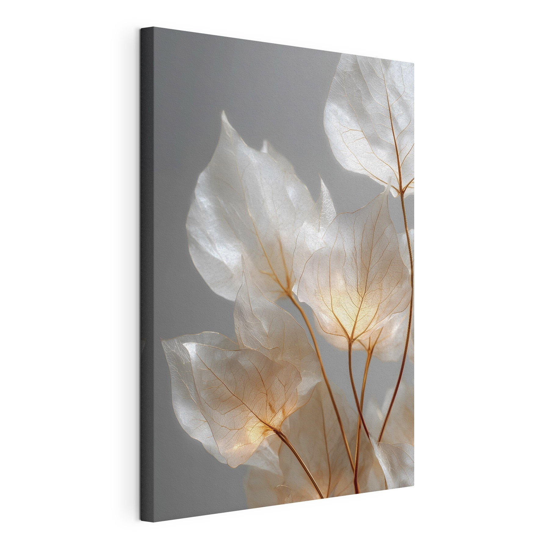 Delicate leaves with a soft glow