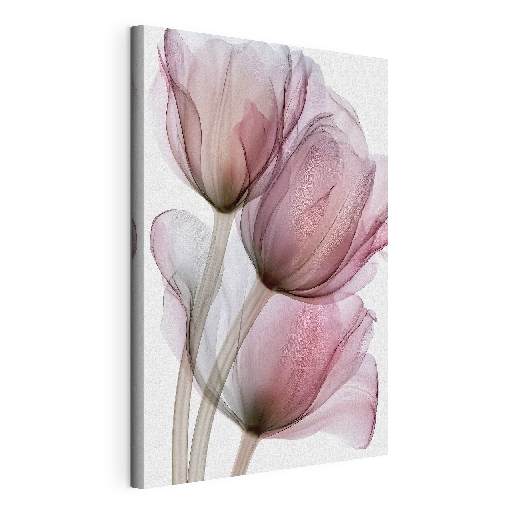 Delicate petals dancing in soft hues