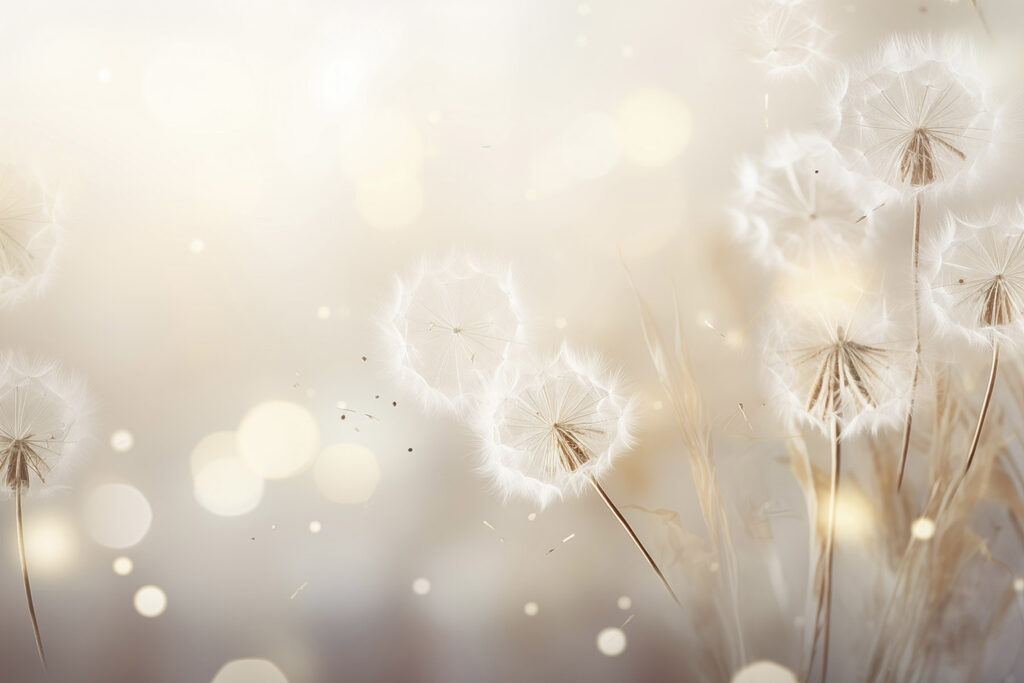 Dandelion seeds dancing in the breeze