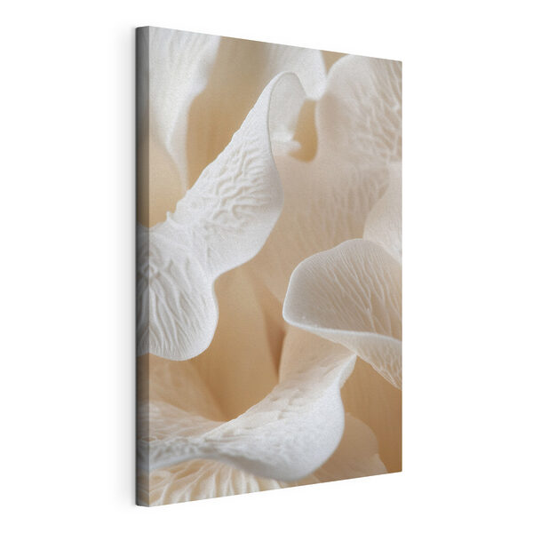Delicate petals in soft harmony