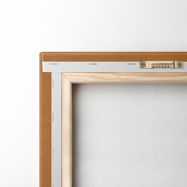 Soft curves and warm tones unite
