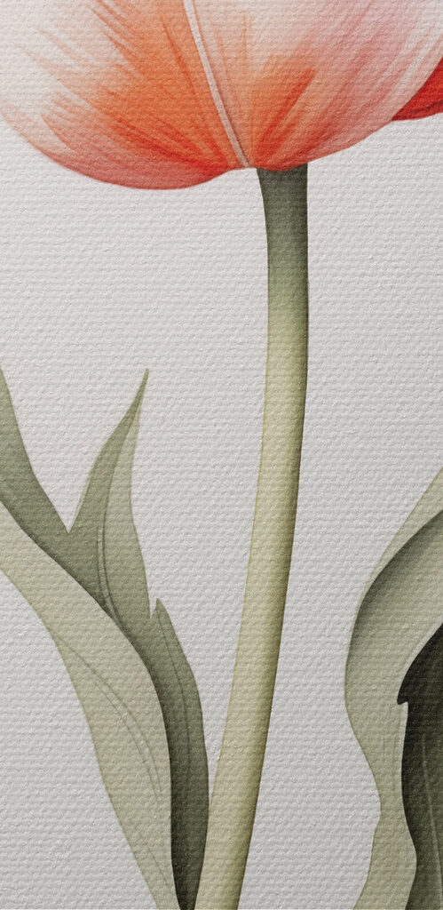 Delicate tulip in soft hues