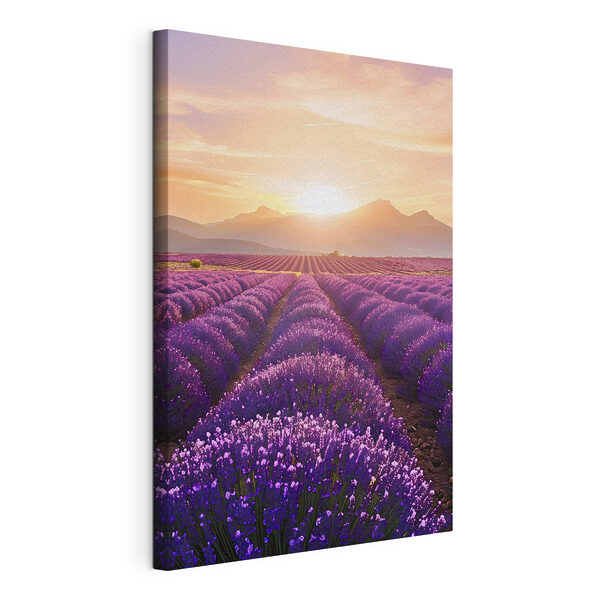 Canvas Schilderijen Lavendelveld met bergen op de achtergrond (Artikelnummer: s45663) Canvas Schilderijen Canvas Schilderijen Lavendelveld met bergen op de achtergrond (Artikelnummer: s45663)