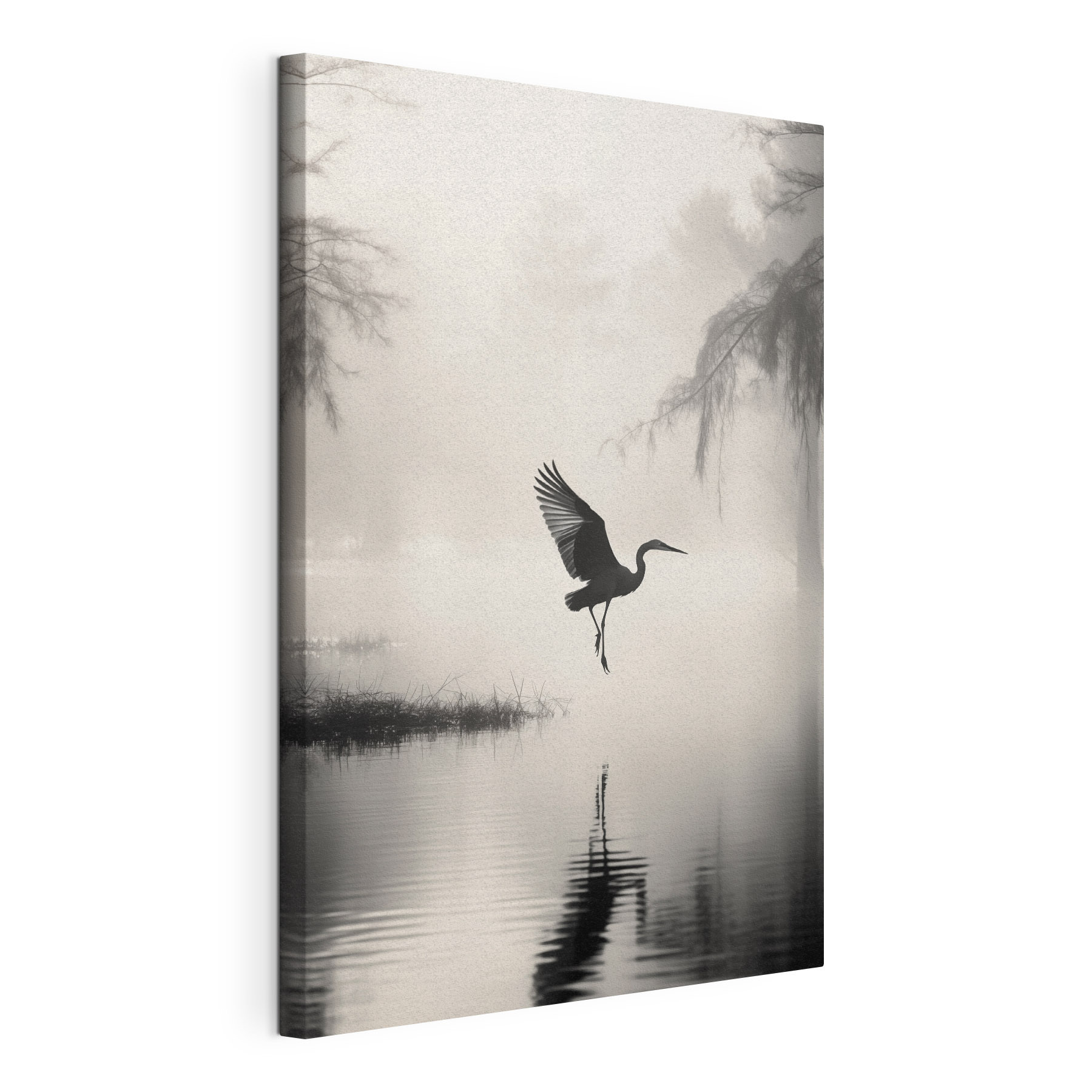Bird flying over water