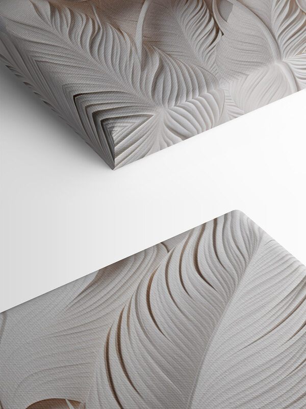 White feathers on a white surface
