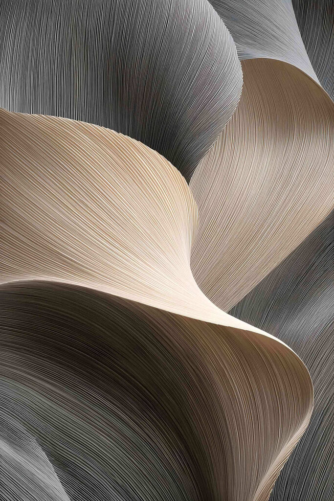 Flowing lines create subtle elegance Flowing lines create subtle elegance