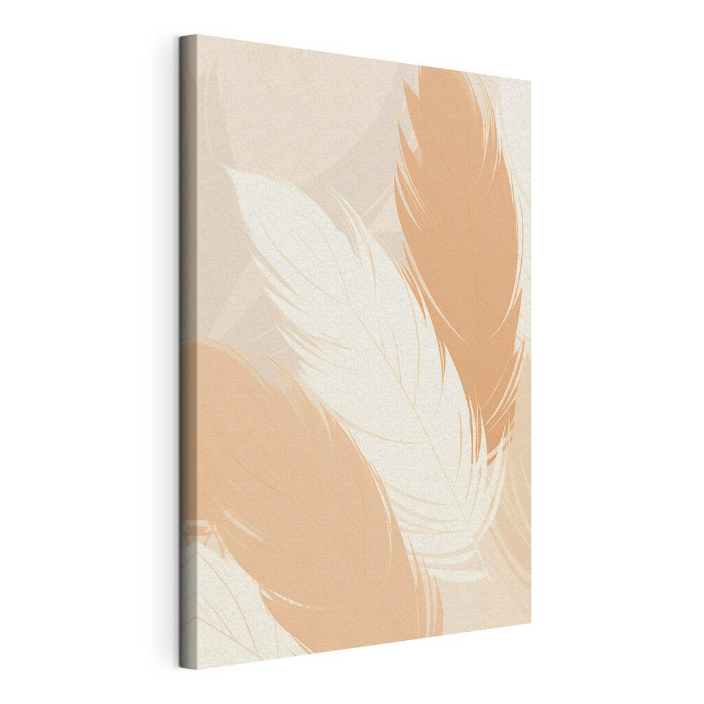 Group of feathers on a surface Group of feathers on a surface