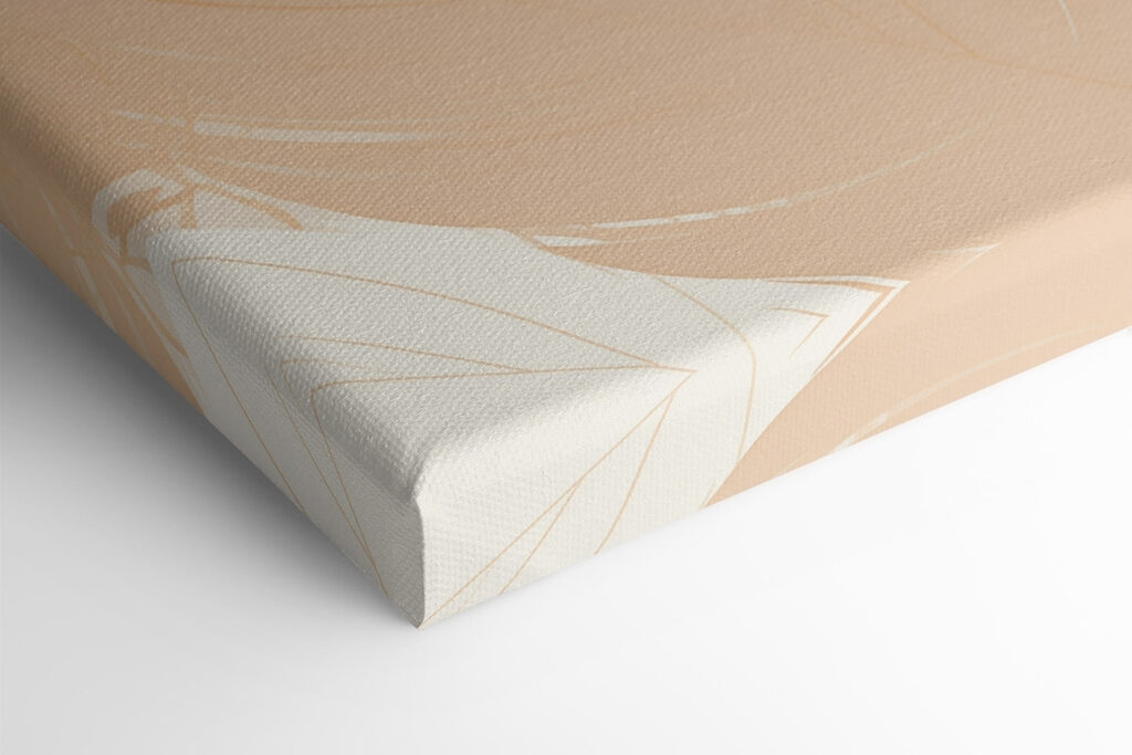 Group of feathers on a surface Group of feathers on a surface