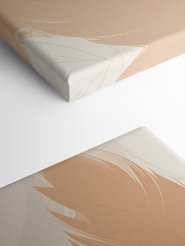 Group of feathers on a surface Group of feathers on a surface