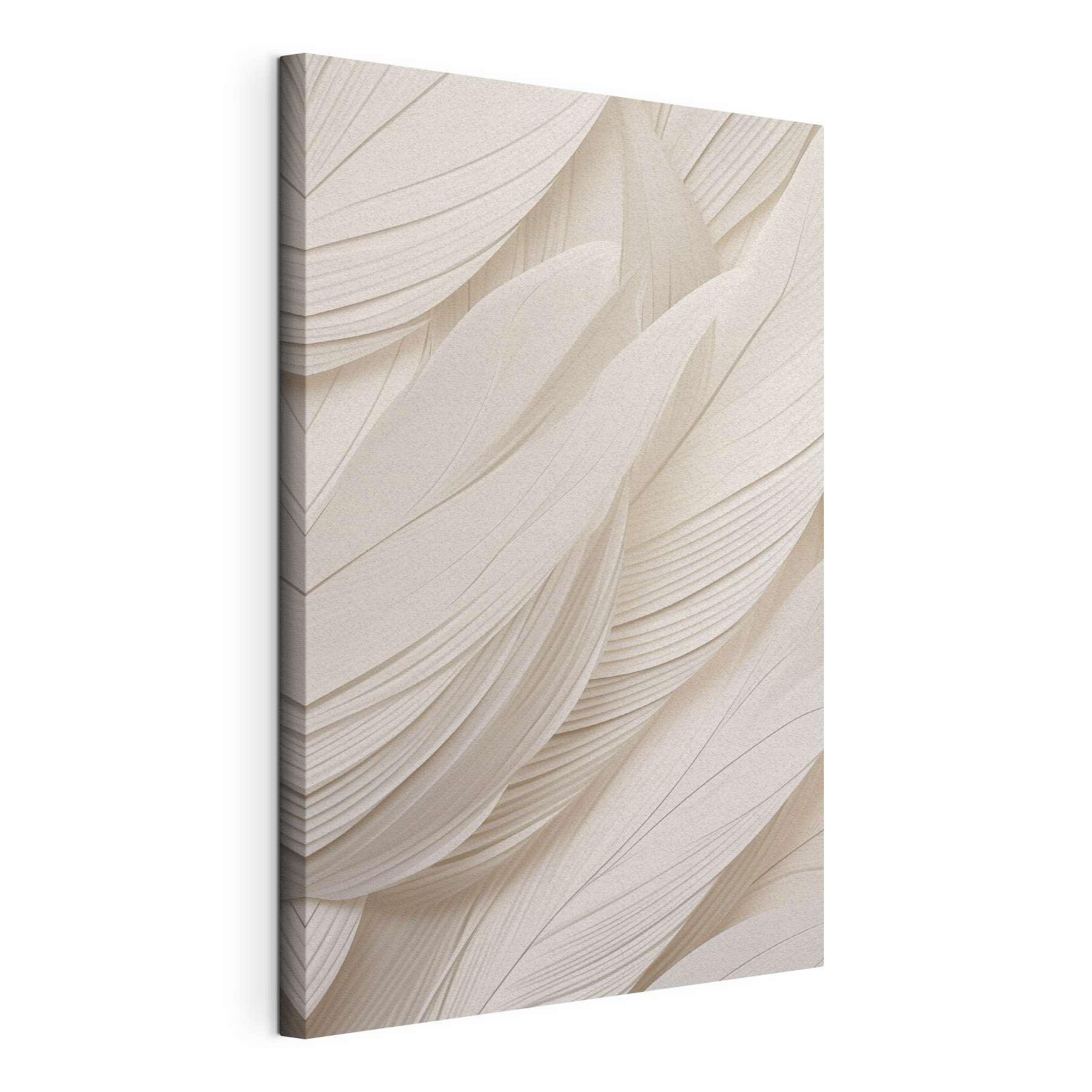 Soft curves, gentle texture, calm vibes