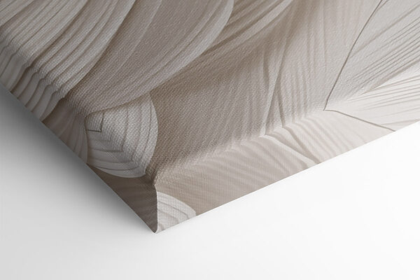 Soft curves, gentle texture, calm vibes