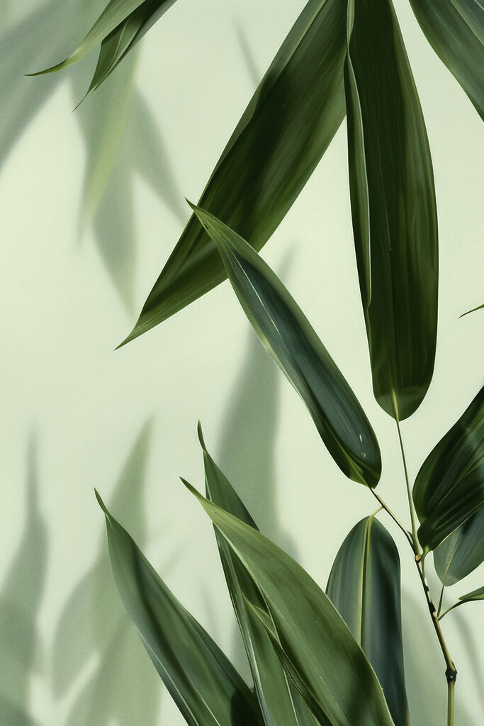 Delicate leaves on a soft backdrop
