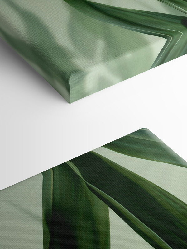 Delicate leaves on a soft backdrop