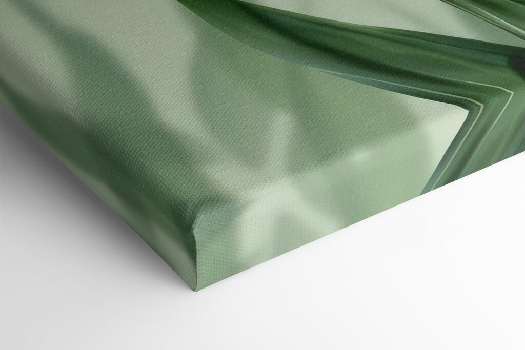 Delicate leaves on a soft backdrop