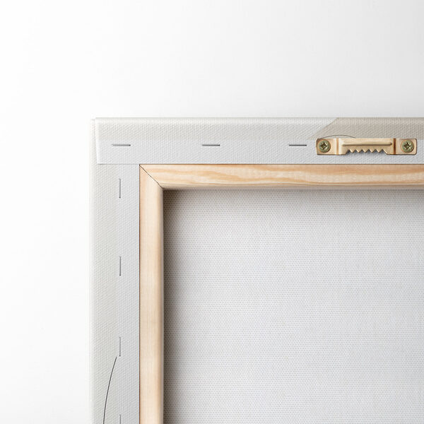 Fluid shapes in soft colors blend