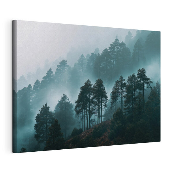 Canvas Schilderijen Canvas Schilderijen Mistig bos met bomen (Artikelnummer: s49672)